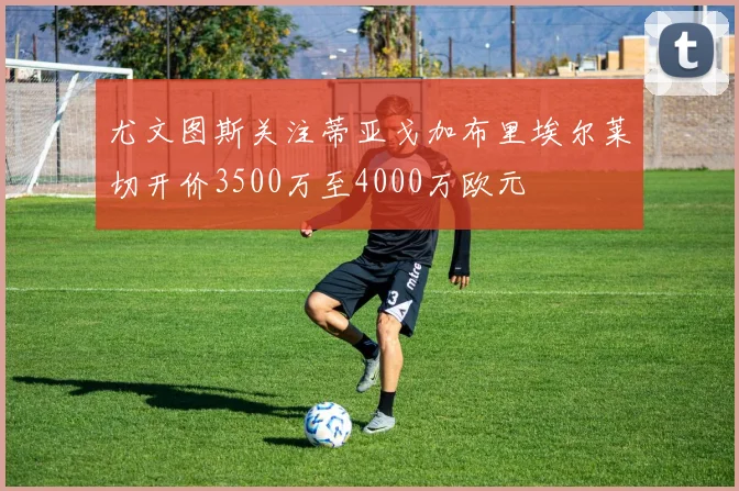 尤文图斯关注蒂亚戈加布里埃尔莱切开价3500万至4000万欧元