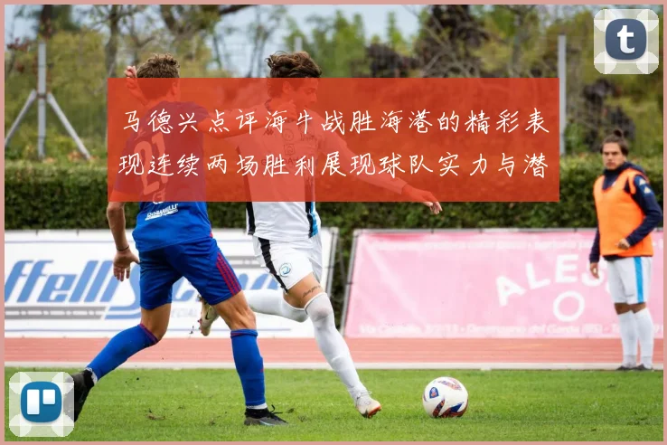 马德兴点评海牛战胜海港的精彩表现连续两场胜利展现球队实力与潜力
